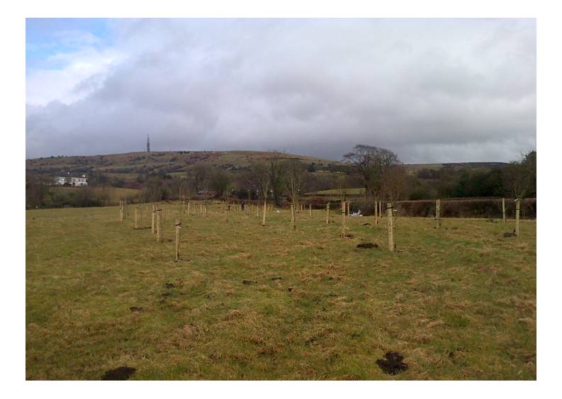 Site developmernt days at Dreamcatcher Farm The Northern School of